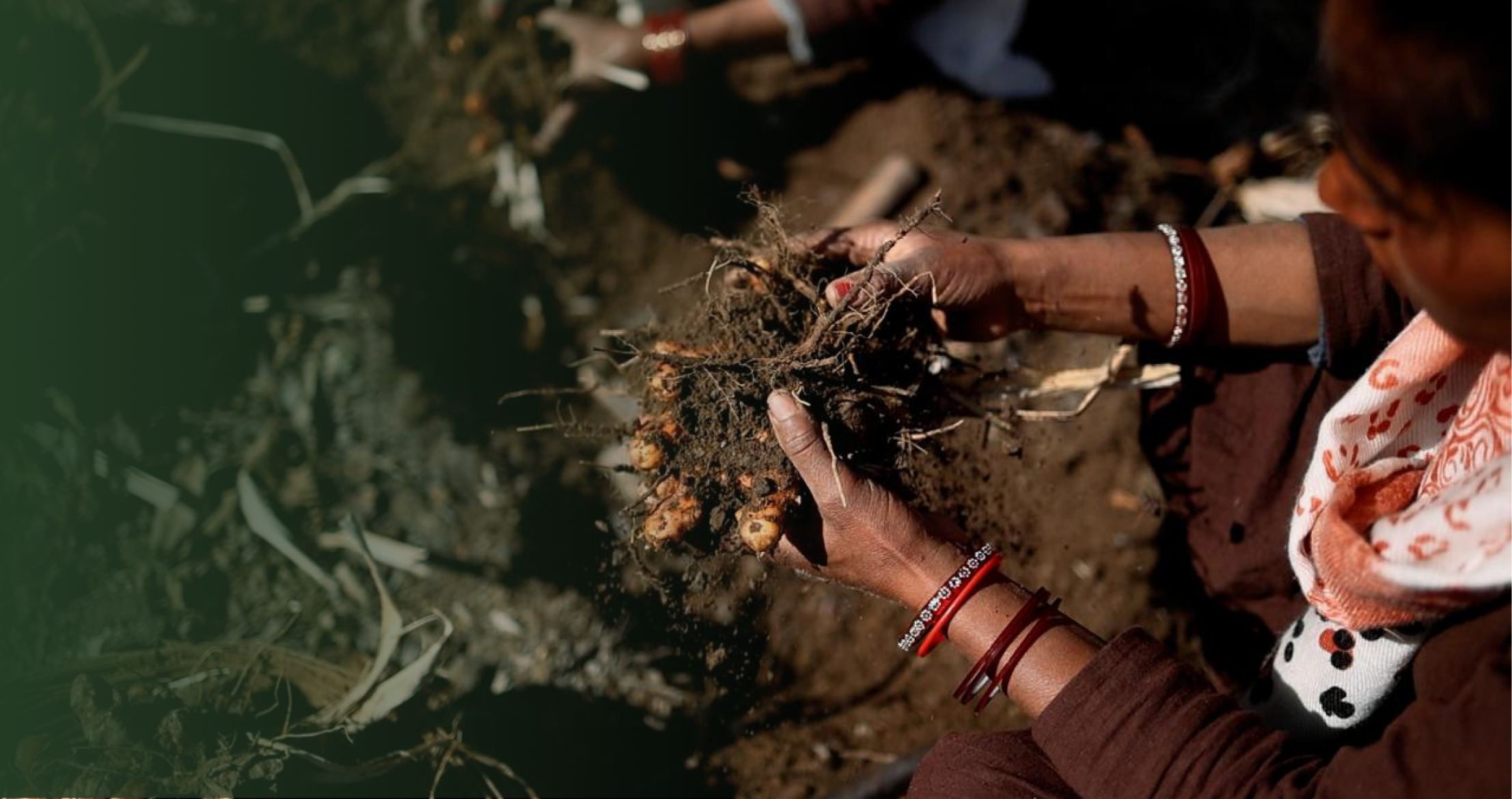 From our farms in Tatva Hills to your everyday health.